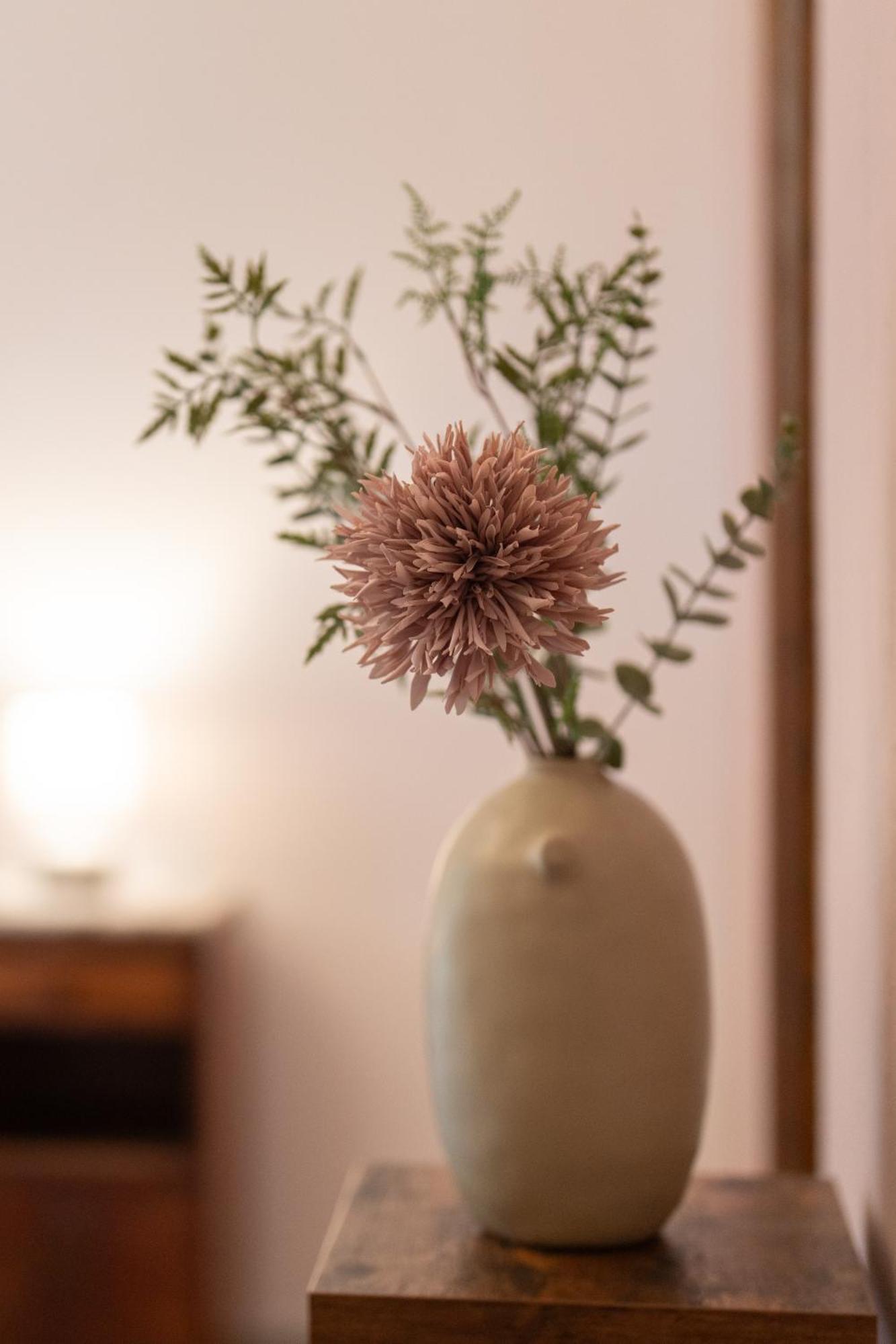 Espédaillac Chambres Et Jardin De Pierres מראה חיצוני תמונה