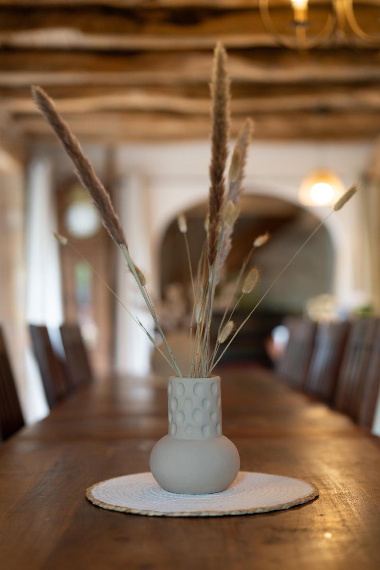 Espédaillac Chambres Et Jardin De Pierres מראה חיצוני תמונה