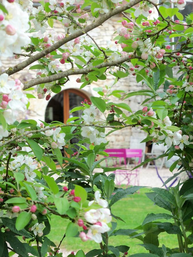 Espédaillac Chambres Et Jardin De Pierres מראה חיצוני תמונה